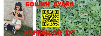гидропоника Будённовск