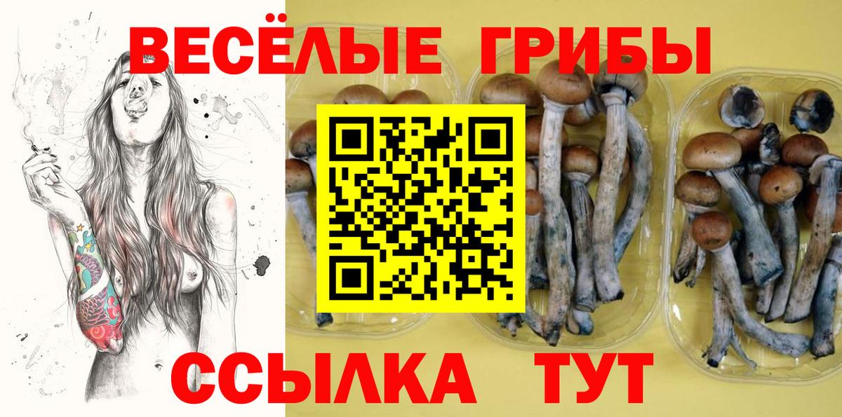Псилоцибиновые грибы Psilocybine cubensis Симферополь