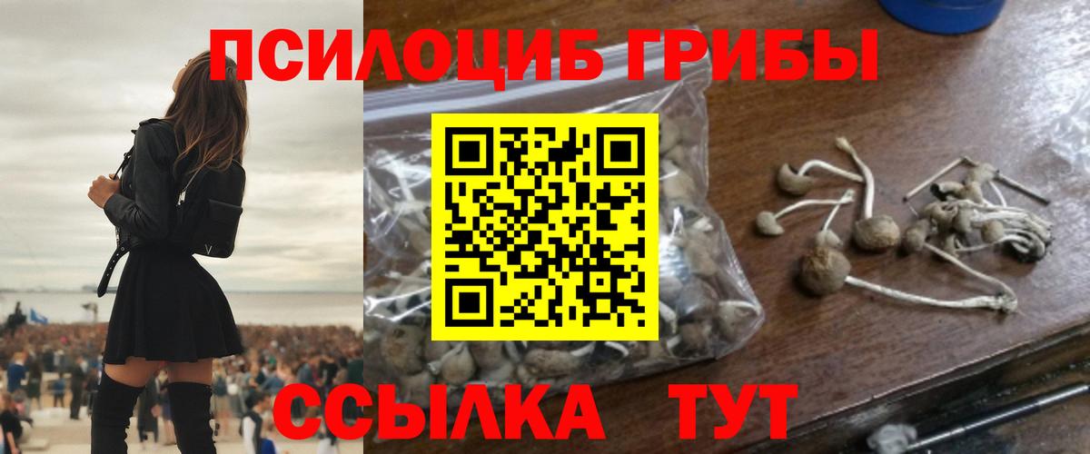 Галлюциногенные грибы Cubensis  как найти закладки  Симферополь  Вход с VPN 